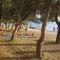 Apartment in Zadar with sea view, balcony, air conditioning, WiFi 858-4 - Zadar