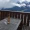 Hirschfluh Duplex - Riederalp