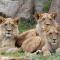 LE CHANT DES OISEAUX, 3Km du Zoo de Beauval, Parking gratuit ,WIFI et NETFLIX gratuits