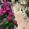 Apartamente Berti`s Garden