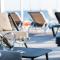 Achlia Beach Villa