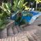 Hotel El Mirador y Jardin