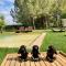 Le Patio, chambres d hôtes pour adultes en Camargue, possibilité de naturisme à la piscine, - ايمارغوس