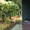 Hale Ohu Bed & Breakfast