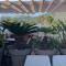 BEACH INN Apartment