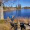 Charming 2-Bed House at the lake close gustavsfors - Gustavsfors