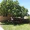 Apartment in Zaton Zadar with sea view, terrace, air conditioning, WiFi 3796-5 - 扎顿