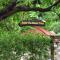 Tree of Life Vanvilas Riveredge Corbett
