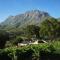 Alluvia Boutique Winery & Luxury Accommodation - Stellenbosch