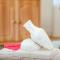 Bird lamp luxury apartment Bačvice, Split - Split