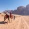 Wadi Rum Fire Camp