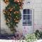 Le Gîte des Marguerites