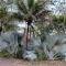 Amaj Eco Lodge