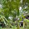 Atii Garden Bungalows