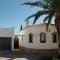 Palmera