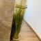 Duplex Bellevue SPA PRIVATIF Toit d'Aix