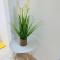 Duplex Bellevue SPA PRIVATIF Toit d'Aix