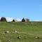 maison forêt d'Aubrac , au coeur de la nature - Prades-dʼAubrac