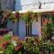 il Pettirosso in Positano - Positano