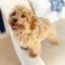 Marine House KAKISAKI - BBQ OK Pets OK