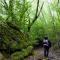 FERULA romantica mansarda tra fiumi e montagne Sardegna