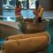 The Five Elements Hotel and SPA - Sapareva Banja