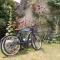 Le Clos des Palmiers photo 23