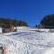 Ferienland Sonnenwald Fewo 46 und Studio 50 in Schöfweg Bayerischer Wald