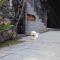 Sweet Rio Residence Taquara