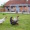 The Cowshed Port Lympne