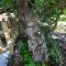 La huerta del Castillo con su Caz de agua - Enjoy Life & Relax