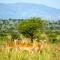 Africa Safari Serengeti Ikoma - Wildebeest migration is around! - Серенгети