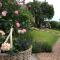 Frogwell - Strete