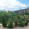 Apartment Gruissan Plage by Interhome