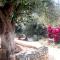OliveTree House - Ithaka