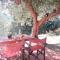 OliveTree House - Ithaka