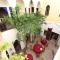 Riad Sidi Mimoune & Spa