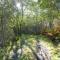 Holiday Home Rustico Andrea by Interhome