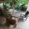 Tropical Hostel