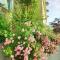 Guesthouse Olei