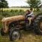 Dambækgaard Sustainable Farm - Hårlev