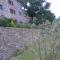 Ruine-Motovun DH