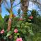 Palm Garden Papamoa Beach Paradise