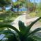 Compass Diving Resort - Beloi