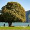 MAJOR SISTERS, APPARTAMENTO VISTA LAGO DI LUGANO