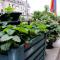 Yerevan center apartment 5A Yerevan center apartment 5A