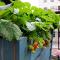 Yerevan center apartment 5A - Erevan