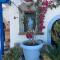 Pelagia Beach Studios