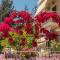 Vickys Guesthouse