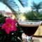 Bed & Breakfast Dionis Vis